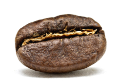 Kaffee